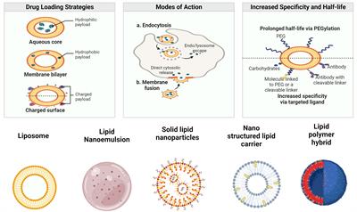 Lipid-based nanoparticles as drug delivery carriers for cancer therapy